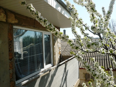 В начале мая цветёт черешня. Прекрасный вид с окна